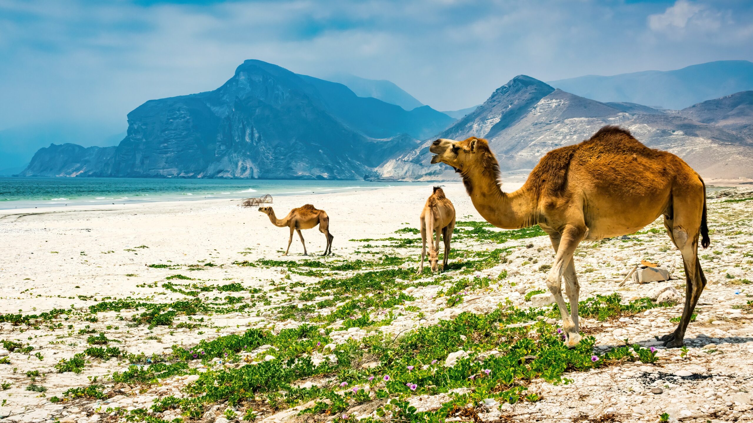 methode_times_prod_web_bin_ac8c0ffb 7290 4c31 875c a2e827d0469c scaled