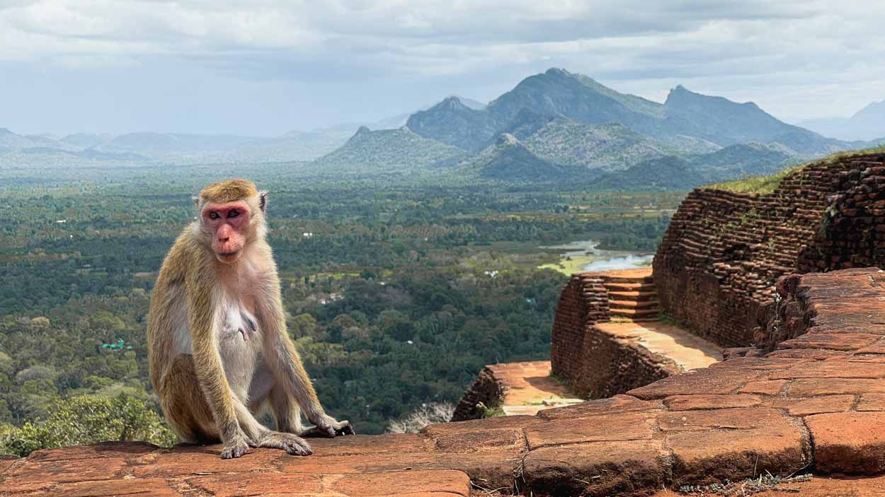 sri lanka sigiriya 19 1