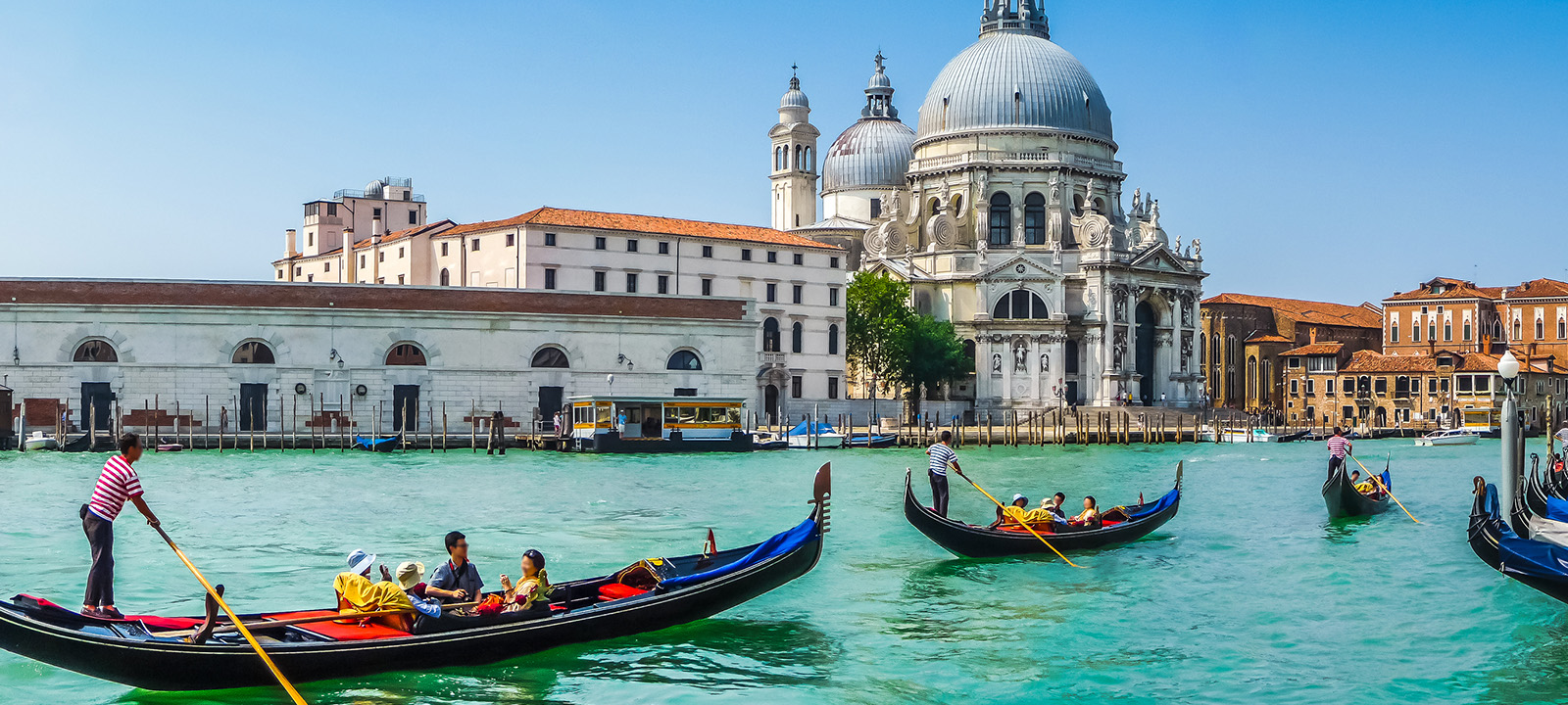 vfs_venice_italy_grand_canal